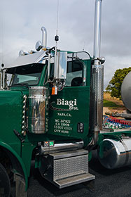 Biagi Bros.